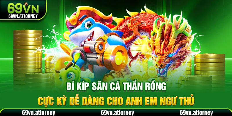 Bí kíp săn cá thần rồng cực kỳ dễ dàng cho anh em ngư thủ
