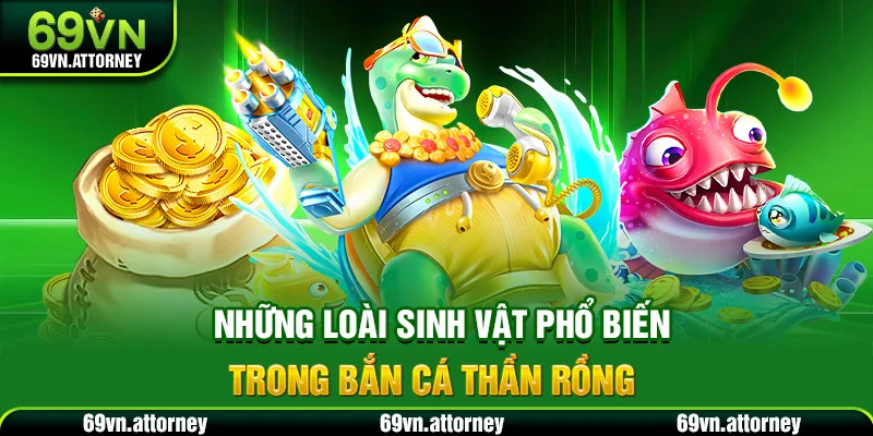 Những loài sinh vật phổ biến trong bắn cá thần rồng