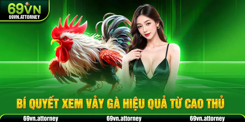 Bí quyết xem vảy gà hiệu quả từ cao thủ