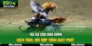 Đá Gà Cựa Dao 69VN – Kịch Tính, Hồi Hộp Từng Giây Phút