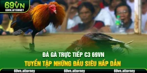 Đá Gà Trực Tiếp C3 69VN – Tuyển Tập Những Đấu Siêu Hấp Dẫn