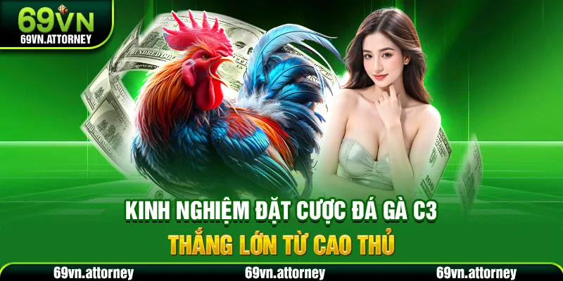 Kinh nghiệm đặt cược đá gà C3 thắng lớn từ cao thủ