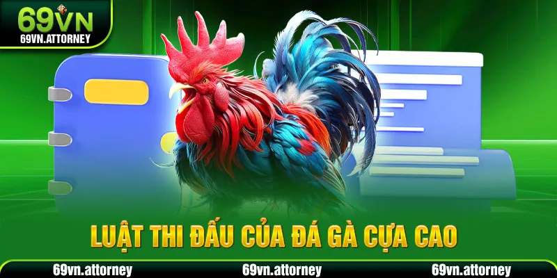 Luật thi đấu của đá gà cựa cao